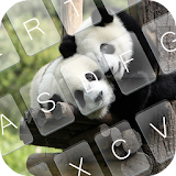 Sleepy Panda Keyboard Theme icon