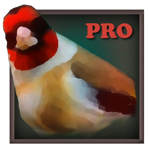 Birdquiz Pro 2.3.4 Icon