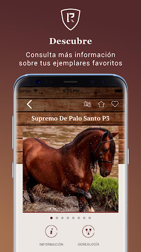 Andares Screen 3