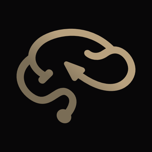 BReine Rally App logo