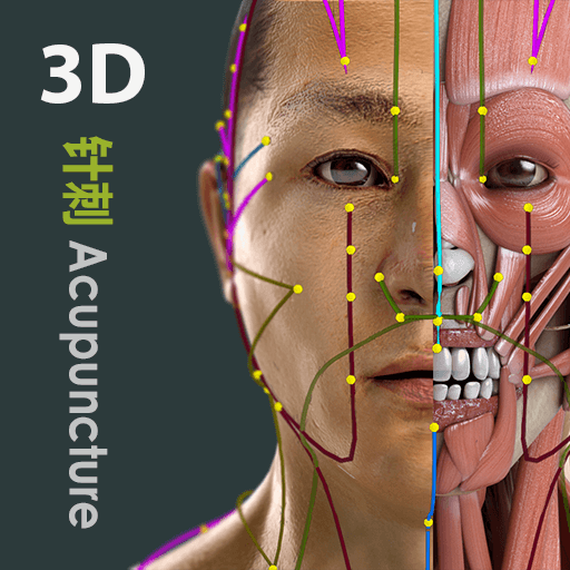 Visual Acupuncture 3D logo