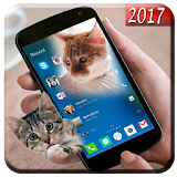 Cat In Phone- Cat walking On Screen Prank 2017 icon