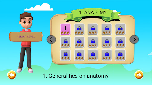Skuta Anatomy Screen 2