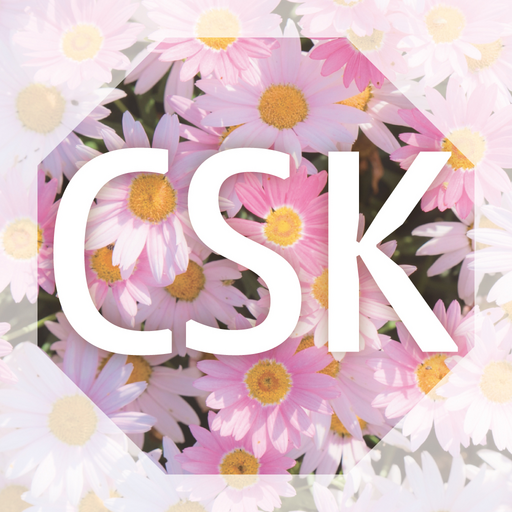 CSK salon logo