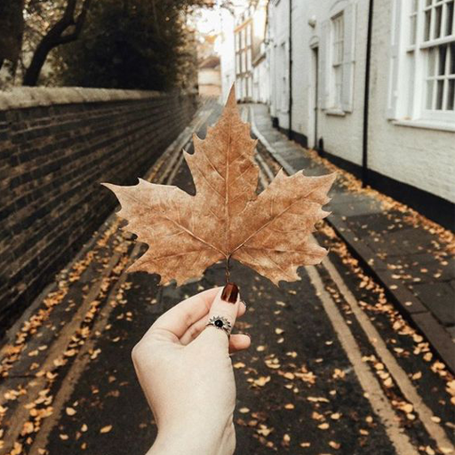 Brown Aesthetic Wallpaper HD