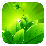 Go Green Launcher Theme icon