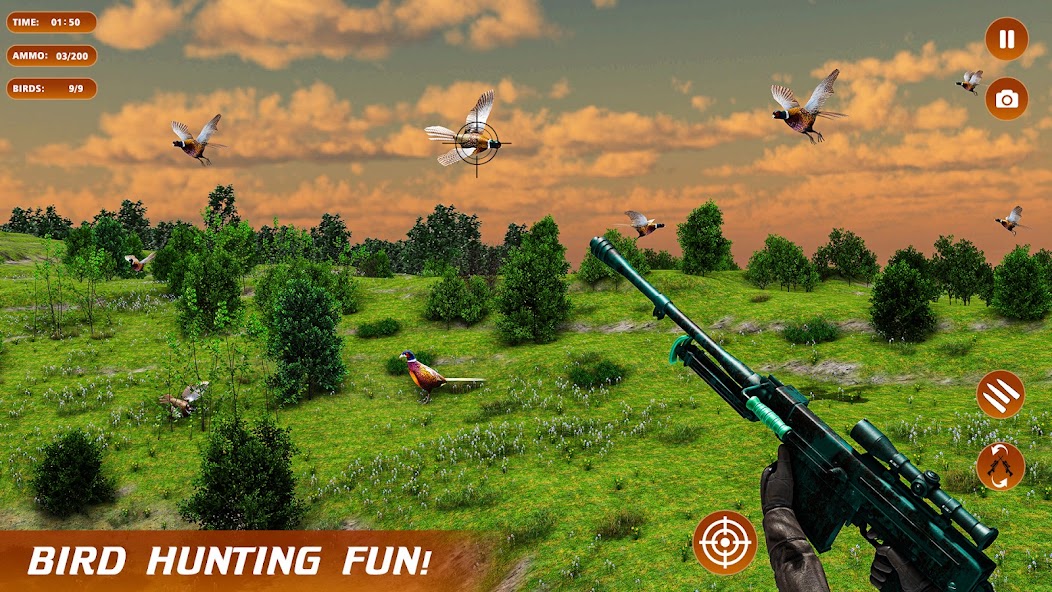Pheasant Shooter Birds Hunting banner