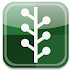 App Details Logo