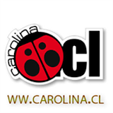 Radio Carolina 99.3 icon