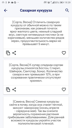 Огород и дачный участоксоветы