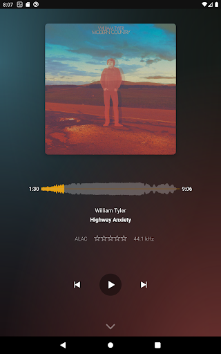 Screenshot of Plexamp