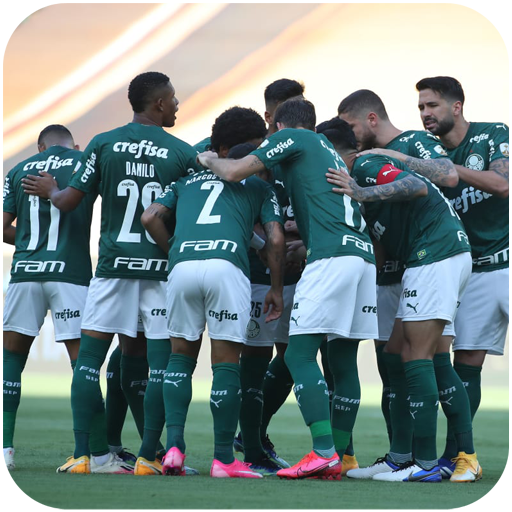 Palmeiras Wallpapers Download on Windows