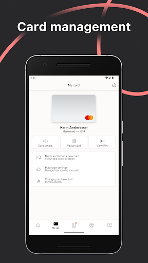 Spendwise Screen 3