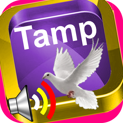 Tampulma with English logo