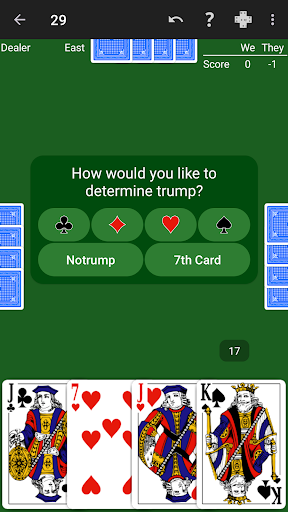 29 Card Game - Expert AI Screen 3