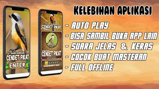 Android application Suara Burung Cendet Pikat screenshort