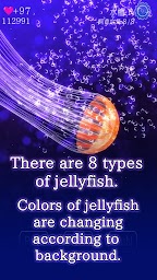 Jellyfish Friends　-free caring game-