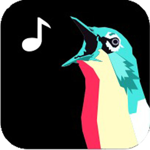 pPKM - pidio Pleci Kontes Mobi logo
