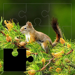 Icon image Awesome Life Puzzles