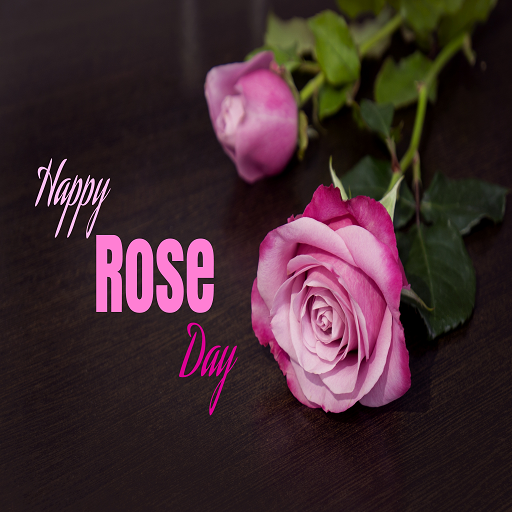 Happy Rose Day  Icon