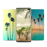 Tropical Wallpapers