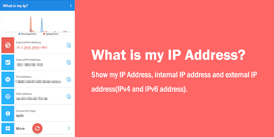 What is my IP Address? - My IP