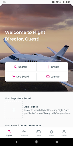 Flight Director Screen 3