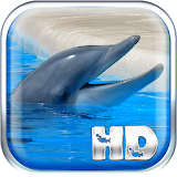 Dolphins Live Wallpaper HD icon