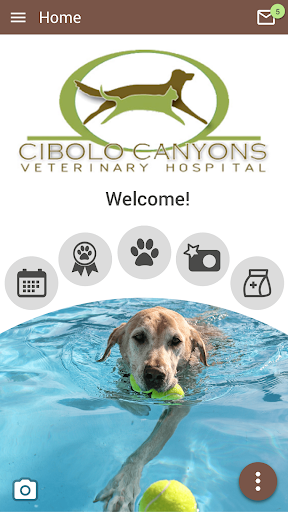 Android application Cibolo Canyons Vet screenshort