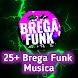 25+ Brega Funk Musica