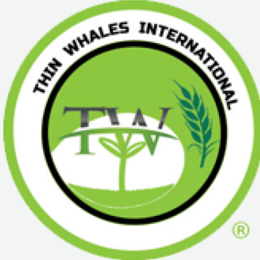 Thinwhales International logo