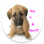 Cover Image of डाउनलोड CUTE GIRL DOG NAMES APP 2020  APK