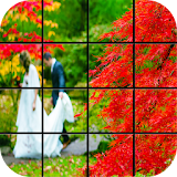 Red Leaves Puzzle Games icon