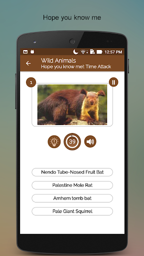Screenshot of Wild Animals