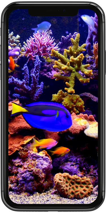 Real Aquarium Live Wallpaper - 1.0.3 - (Android)