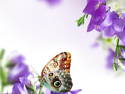 ++ 50 ++ 壁紙 春の花 177201