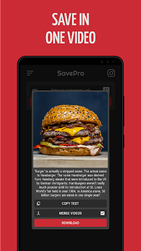 Video downloader for Instagram Screen 3