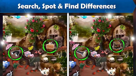 Spot & Find Hidden Difference