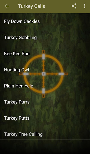 Turkey Hunting Calls