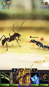 Insects Puzzles
