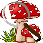 Top 18 Books & Reference Apps Like Mushroom Tracker - Best Alternatives