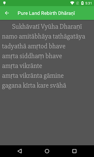 Pure Land Rebirth Dhāraṇī