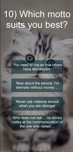 Test What kind of cat are you?