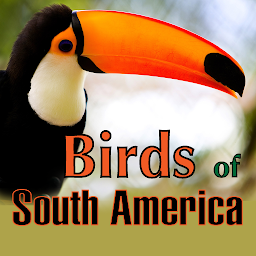 Icon image Birds of South America