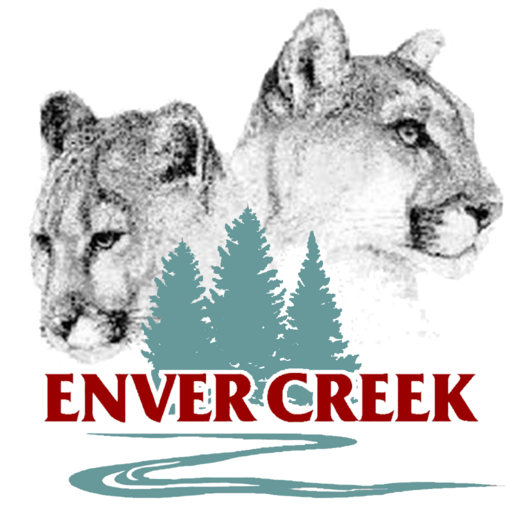 Enver Creek 5.1.0 Icon