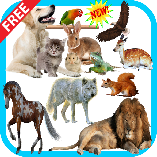 動物的叫聲 Google Play 應用程式