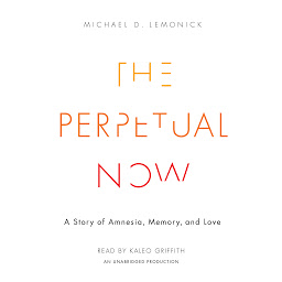 Icon image The Perpetual Now: A Story of Amnesia, Memory, and Love