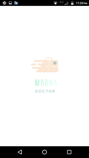 Magna Professional Screen 2