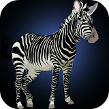 Zebra Games for Kids icon