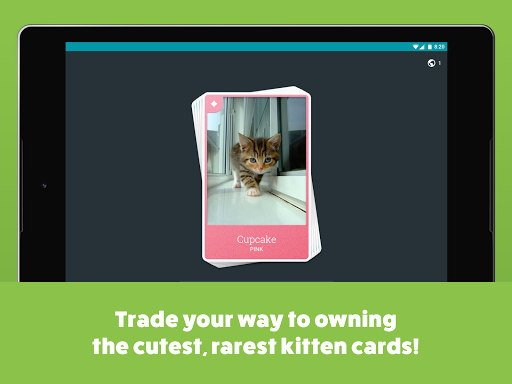 Kitten Cards